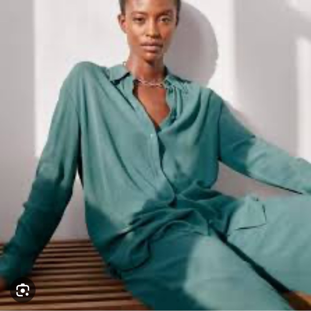 Aritzia babaton pant